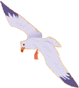 Gaivota