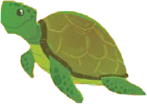 Tartaruga